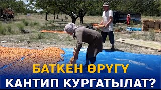 БАТКЕН ОБЛУСУНУН КЫРГЫЗ-КЫШТАК АЙЫЛЫНА САЯКАТ