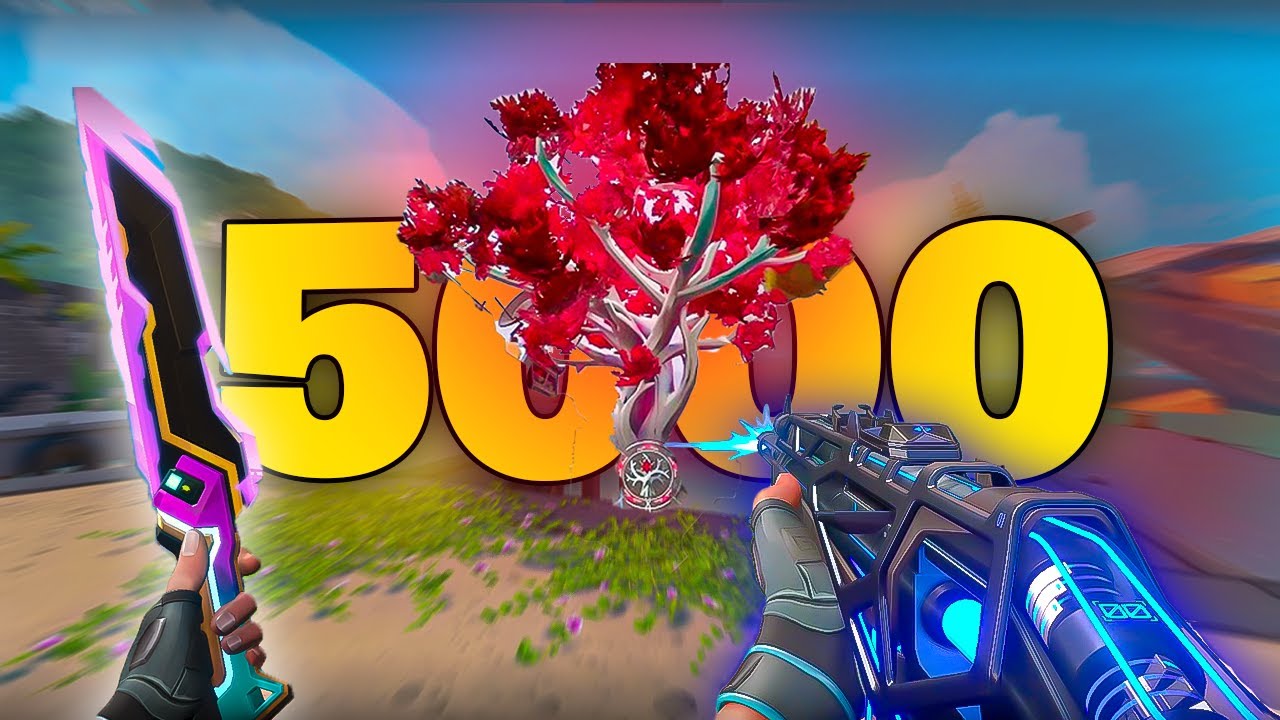 What Happens When You Reach 5000 Hours of High SENS? - YouTube