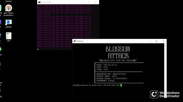 Blossom hitting off a xbox booter