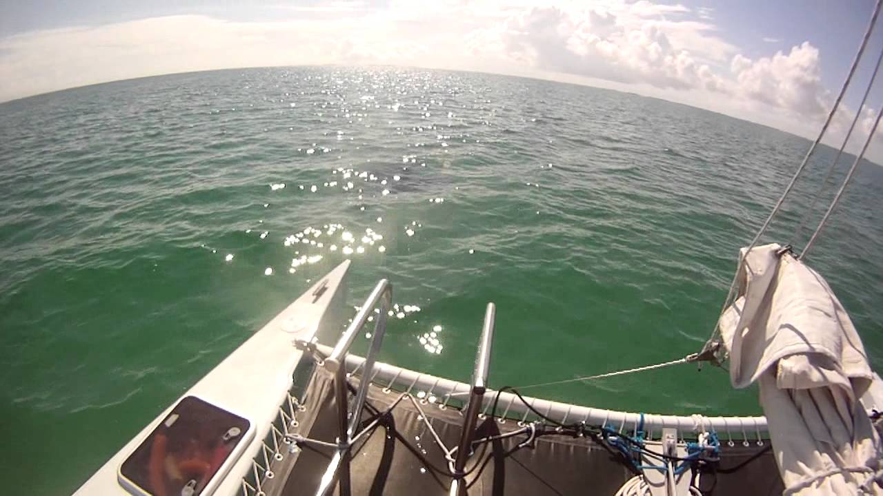 key west catamaran echo