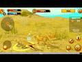 Wild Cheetah Simulator 3D Android Gameplay - Hunting & Survival (Part 6)