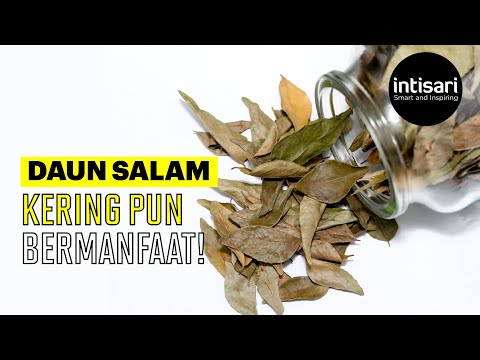 Video: Bagaimana cara mengeringkan daun salam?