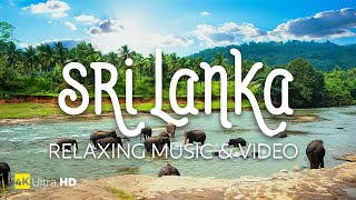 Cinematic Sri Lanka in 4K UHD - Relaxing Music & Video - Meditation Music with Beautiful Nature