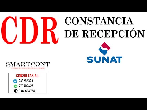 CONSTANCIA DE RECEPCION