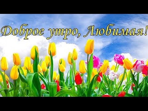 Доброе утро, Любимая!