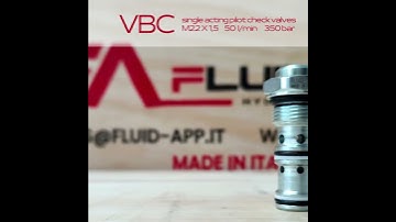 Focus on VBC single acting pilot check valves!