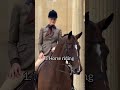 Top 5 old money hobbies 💫 #hobbies #viralvideo #oldmoney #asthetic #fashion #rich #lifestyle