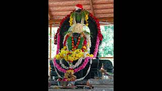 New Lord  Ganesh devotional song kannada 🙏#ಗಣಪತಿ #ganeshchaturthi
