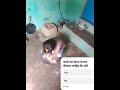 हस ले गा ले एक दिन ना मिले गले फिर hasle gale ye #song #hindisong #love