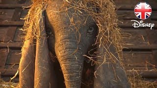 DUMBO | NEW TEASER TRAILER | Official Disney UK Resimi