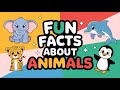Fun Facts About Animals for Kids | Amazing Animal Facts You’ll Love!