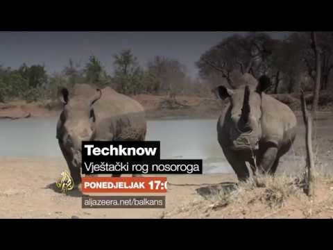 TechKnow 56 - قرن وحيد القرن الاصطناعي - الاثنين 5:05 مساءً