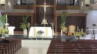 Daily Mass