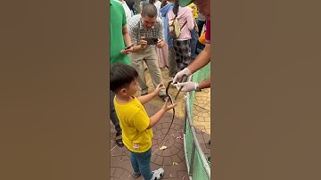 Đầu năm đi trại rắn đồng tâm năm Tỵ mà gặp cảnh này nè 🥲😬🫣🫣 #shortvideo #kmv #xuhuong #viral