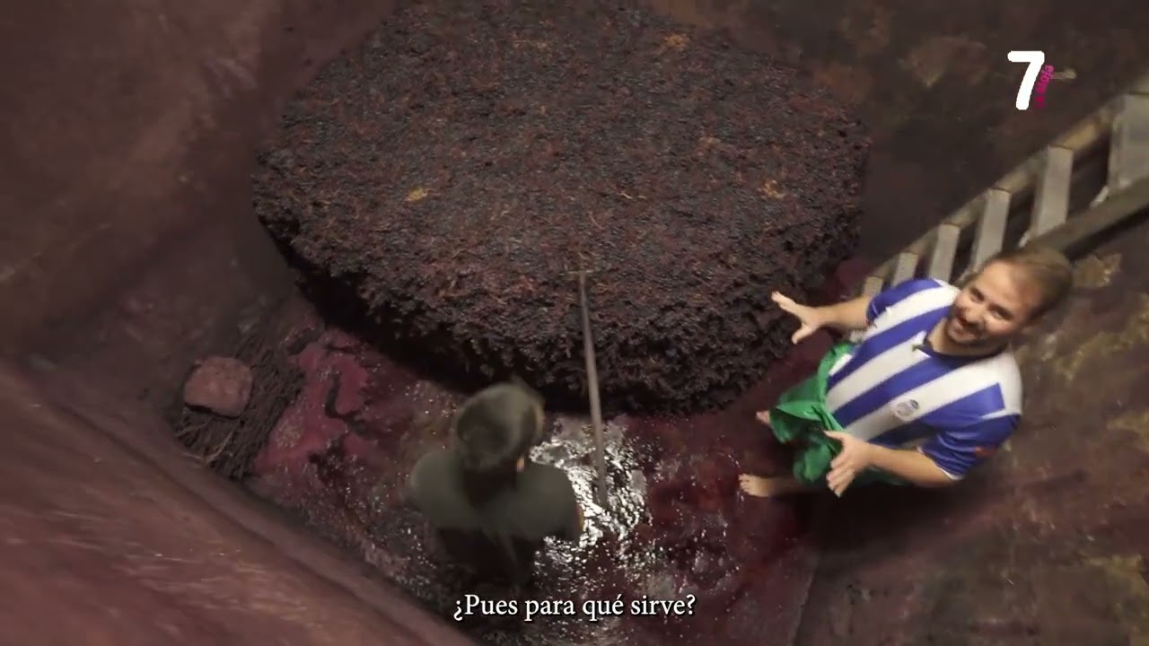 T2026/E0: EL DECANTADOR SUB 03 10 2025