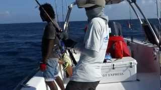 Andys Angler.flv In Gaafu Dhaalu Atoll, Maldives　2