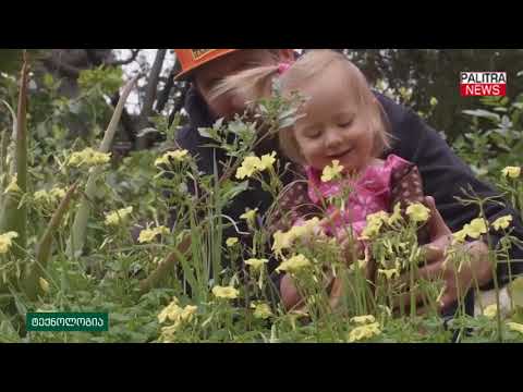 ინოვაციური გამოგონება - სმარტფონის შემცვლელი საშუალება