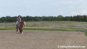 Elle Woods - bridleless working mechanical cow - ValleyViewRanch.net