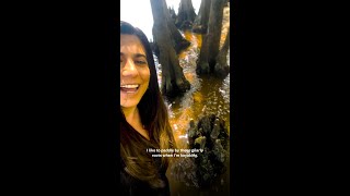 Cypress Tree Fact!
Cypress can live to be how old?!
Whats your favorite tree fact?
#treehugger Cypress Tree Fact!