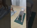 One Breath: Yin-Yang Spinal Relaxation Secret