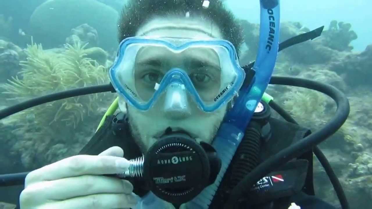 Scuba Diving Molasses Reef, Florida Keys YouTube