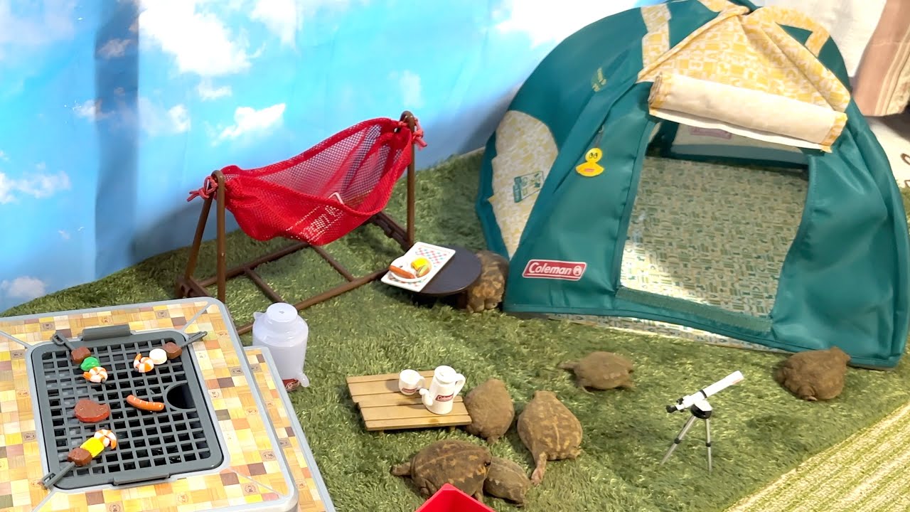 Семья круглых лягушек отправляется в поход 🏕️　　Rain frog family goes camping🏕️