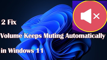 Volume Keeps Muting Automatically for Windows 11- 2 Fix