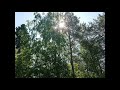 Taer TV. A. Ammal and the nature June 2021 enjoy the nature.
