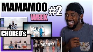 DANCER REACTS TO MAMAMOO(마마무) CHOREOGRAPHY - gogobebe(고고베베) + Egotistic + AYA | MAMAMOO WEEK (PART2)