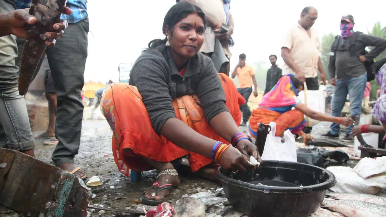 Amazing Squid Octopus Cutting skills by Indian village Lady|Cutting Live Cuttlefish|OCTOPUS Fish
