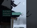 8 dead in Tahoe avalanche, making it one of deadliest in decades