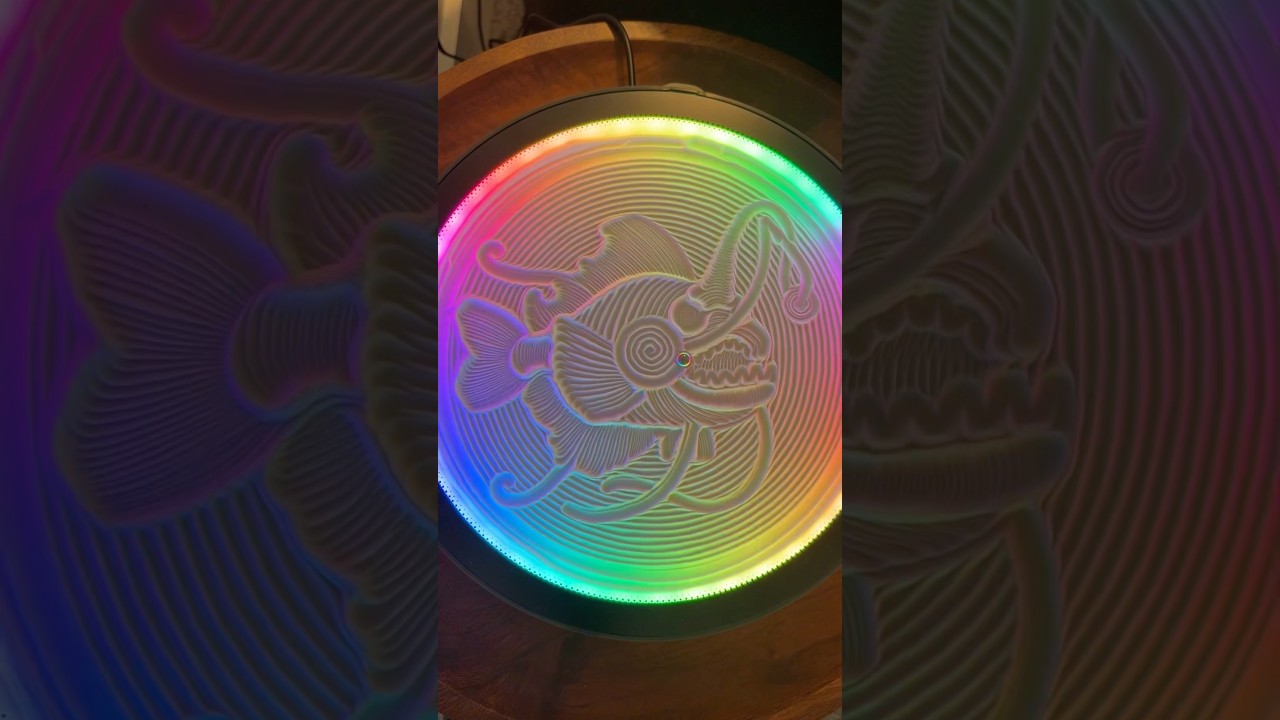 The coolest thing I’ve bought this year