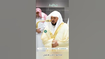 تلاوة خاشعة 🌿 سورة الروم 🌿  #_للشيخ أ.د #ماهر بن حمد #المعيقلي