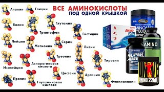 АМИНОКИСЛОТЫ - ДЛЯ ЧЕГО НУЖНЫ В СПОРТЕ?