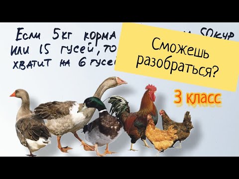 Задача, которая обычно