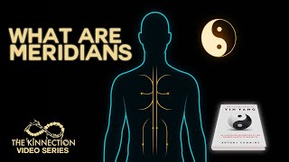 What Are Meridians | Natural Health Explained