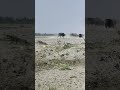 ये क्या हो रहा है भई | what's going on |