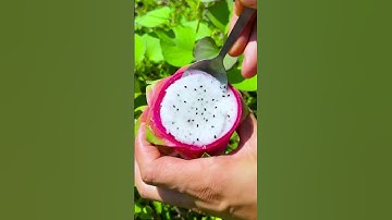 0 đồng ăn gì? #shorts #tiktok #foryou #fyp #food #langlieu