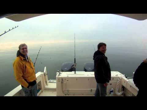 pesca al tonno rosso in drifting, team Sea Baby. Taggato e rilasciato