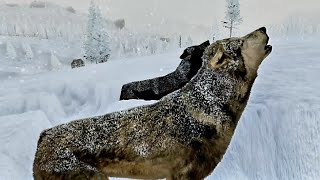 Giving The Dream Home Tour To Our NEW Mate!! | Wolfquest Anniversary Edition #79 [Harley]