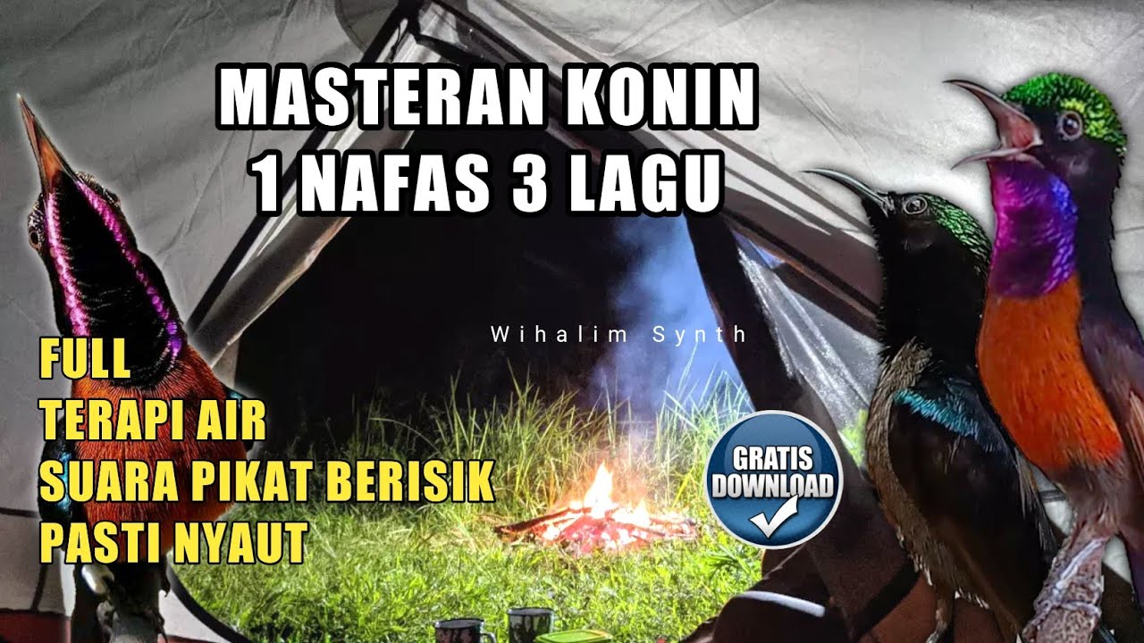 MASTERAN KONIN FULL ISIAN 1 NAFAS 3 LAGU 🛑 DENGAN SUARA TERAPI AIR