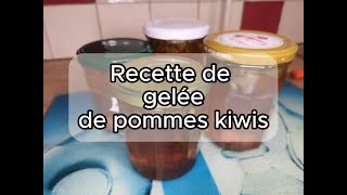 Recette De La Gelée Kiwi Pommes Maison