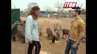 Эму и олени с ним на "ты" Эму и олени с ним на "ты"