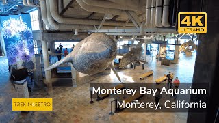 4K Walking Tour of Monterey Bay Aquarium in Monterey, California