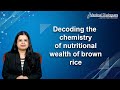 Decoding the chemistry of nutritional wealth of brown rice