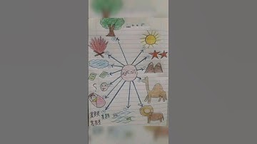 تسهيل حفظ سورة التكوير