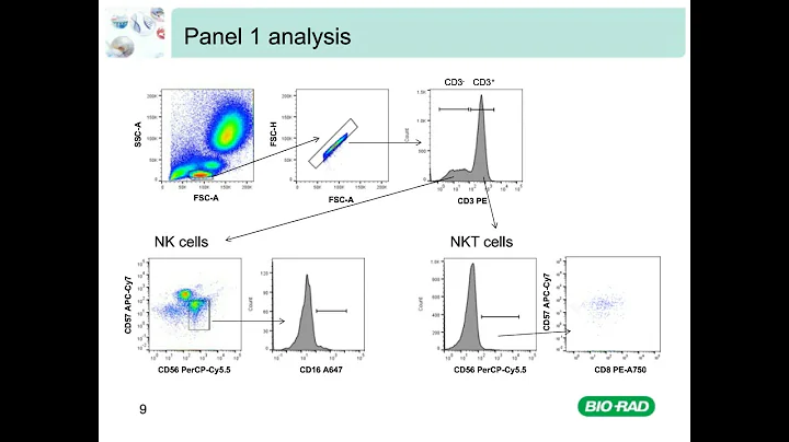 Multicolor Panel Building in Flow Cytometry - DayDayNews