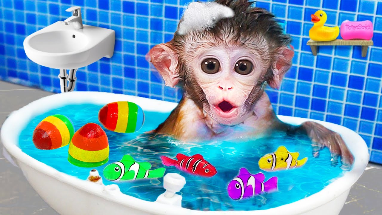 Monkey Baby Bon Bon opens surprise colorful eggs nemo fish with ducklings at the pool  Kudo maymun