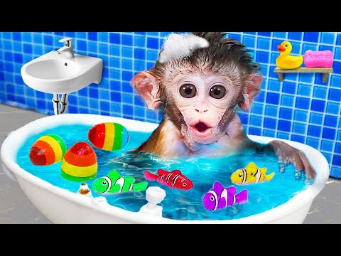 Video: Maymunlar mentalitetining muallifi kim?