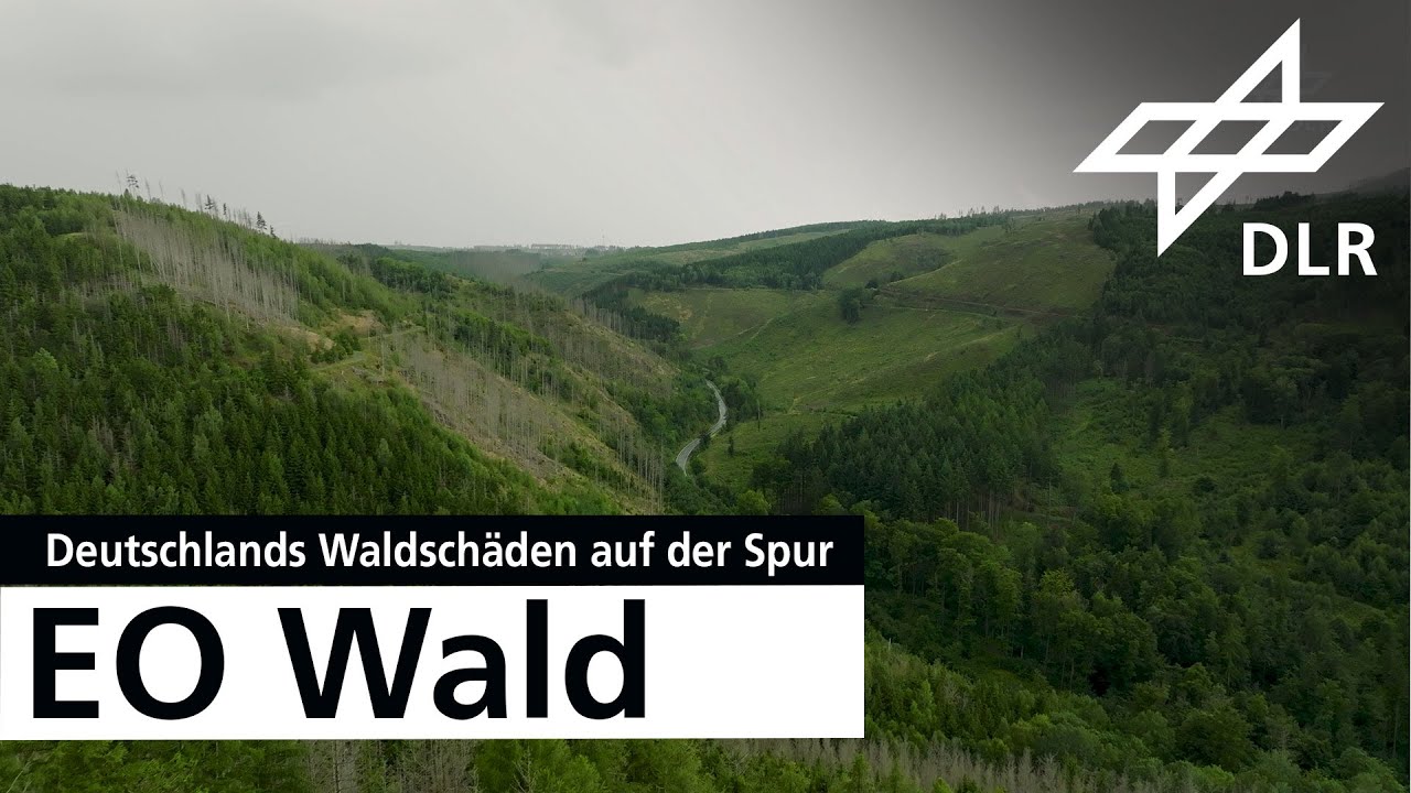 EO Wald – Deutschlands Waldschäden auf der Spur